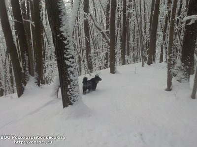 IMG_20100101_193520.jpg