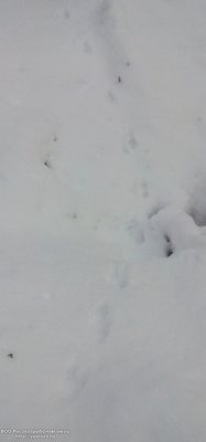 IMG_20100101_194524.jpg