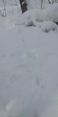 IMG_20100101_183039.jpg
