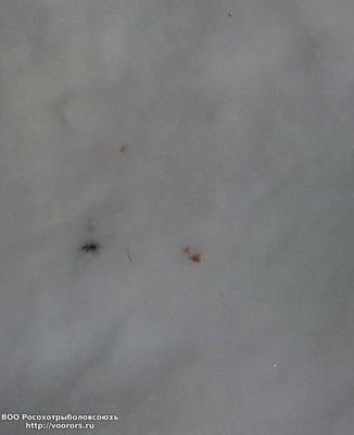 IMG_20100101_175217.jpg