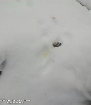 IMG_20100101_150543.jpg