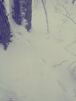 IMG_20100101_162854.jpg