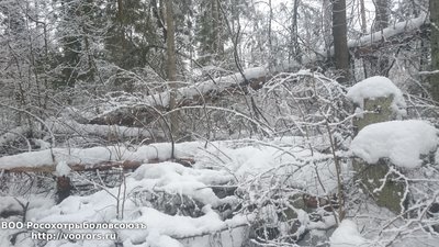 DSC_0885.JPG