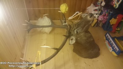 DSC_0556.JPG
