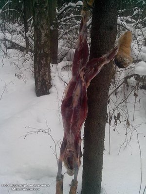 IMG_20120101_032712.jpg