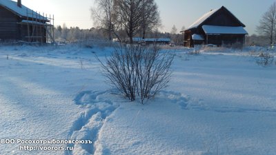 DSC_0004.JPG