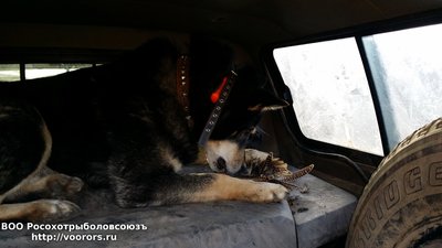 20161213_135912.jpg