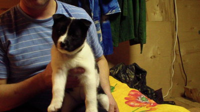SAM_0006.JPG