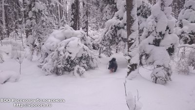DSC_1077.JPG
