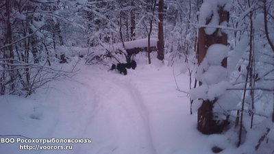 DSC_1075.JPG