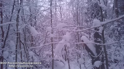 DSC_1072.JPG