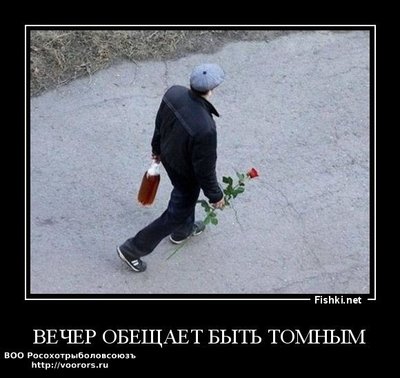 04591f63df5c30cd1f15ad317dd73bc6.jpg