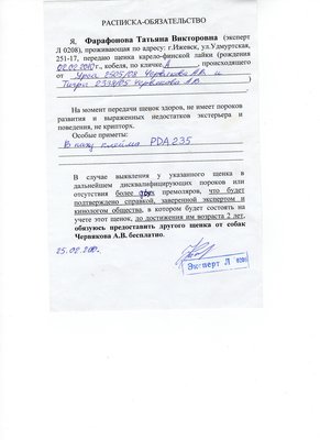img152.jpg