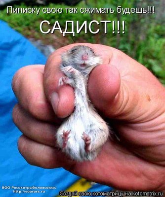 сад1.jpg