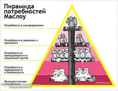Закон курятникаI.jpg