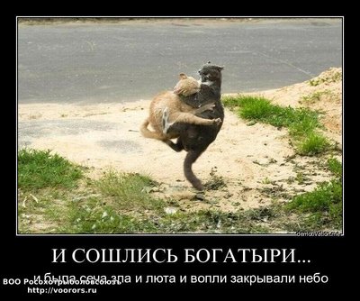 1323444697_image-202.jpg