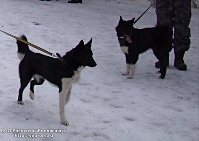 DSC06194 - с эффектами.JPG