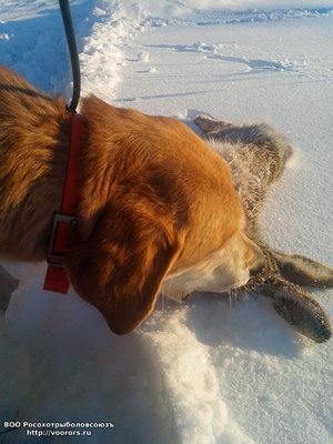 IMG_20120101_030103.jpg