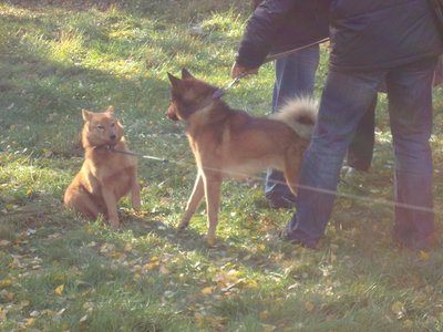 DSC03269.JPG