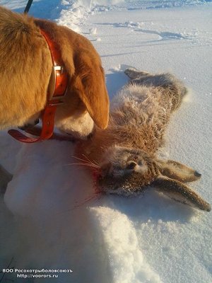 IMG_20120101_030100.jpg