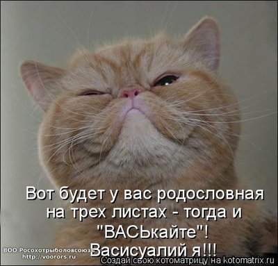вас.jpg