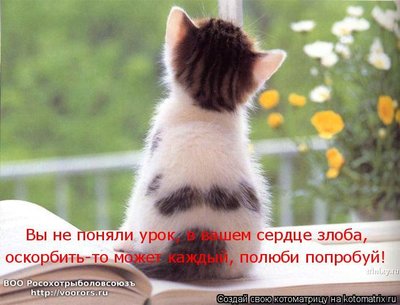 полюби.jpg