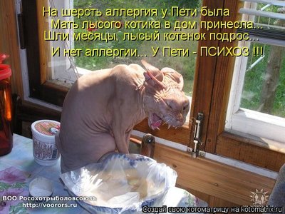 псих.jpg