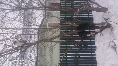 DSC_1112.JPG