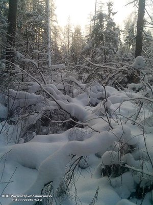 IMG_20120101_030054.jpg