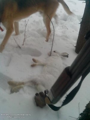IMG_20120101_030106.jpg