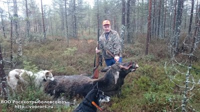 IMG-20161226-WA0010.jpg