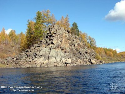image (4).jpg