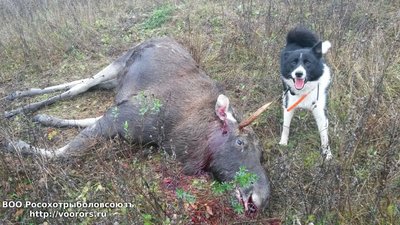 IMG-20161230-WA0000.jpg