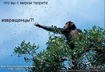 извр.jpg