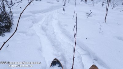 ...зимой и летом стройная...была....JPG