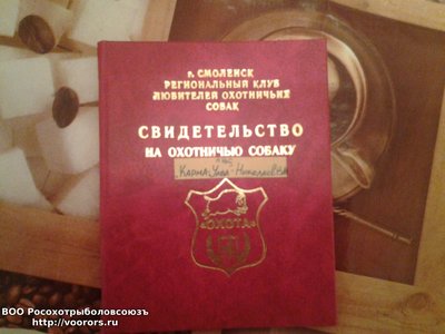 20170101_135907.jpg