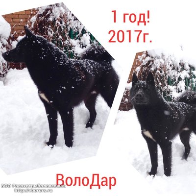 image.jpeg