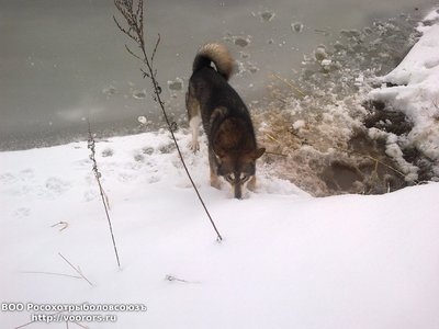 201701032615.jpg
