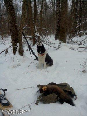 IMG_20161115_101808.thumb.jpg.c66ef27bb9094380836424a35e8a17b6.jpg