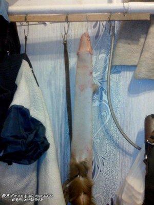 IMG_20161119_192814.thumb.jpg.ff5341c9491b3dcc075d78995ad0803e.jpg