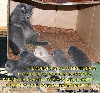уч.jpg