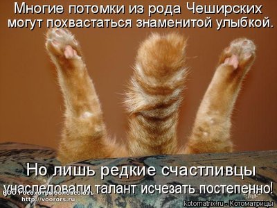 пот.jpg