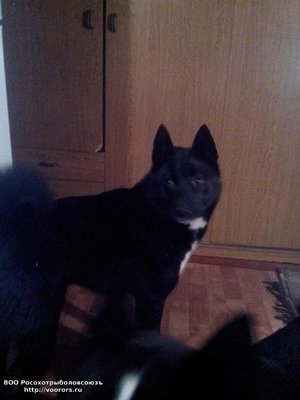 IMG_20120105_133046.jpg