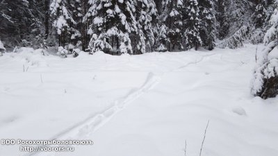 DSC_0007.JPG