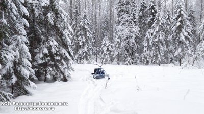 DSC_0010.JPG