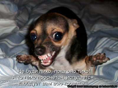 лихо.jpg