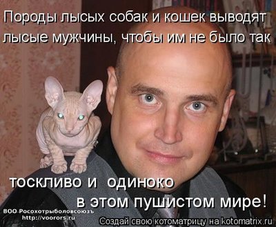 лсые.jpg