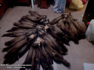 IMG_20161223_190420.thumb.jpg.1e8490e9c9eeed3e84bfaa454a6ad1de.jpg