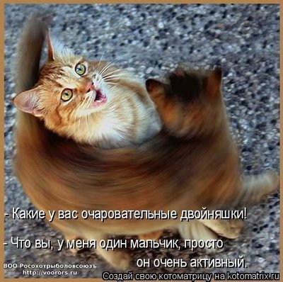 дв1.jpg