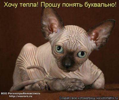 тепло.jpg